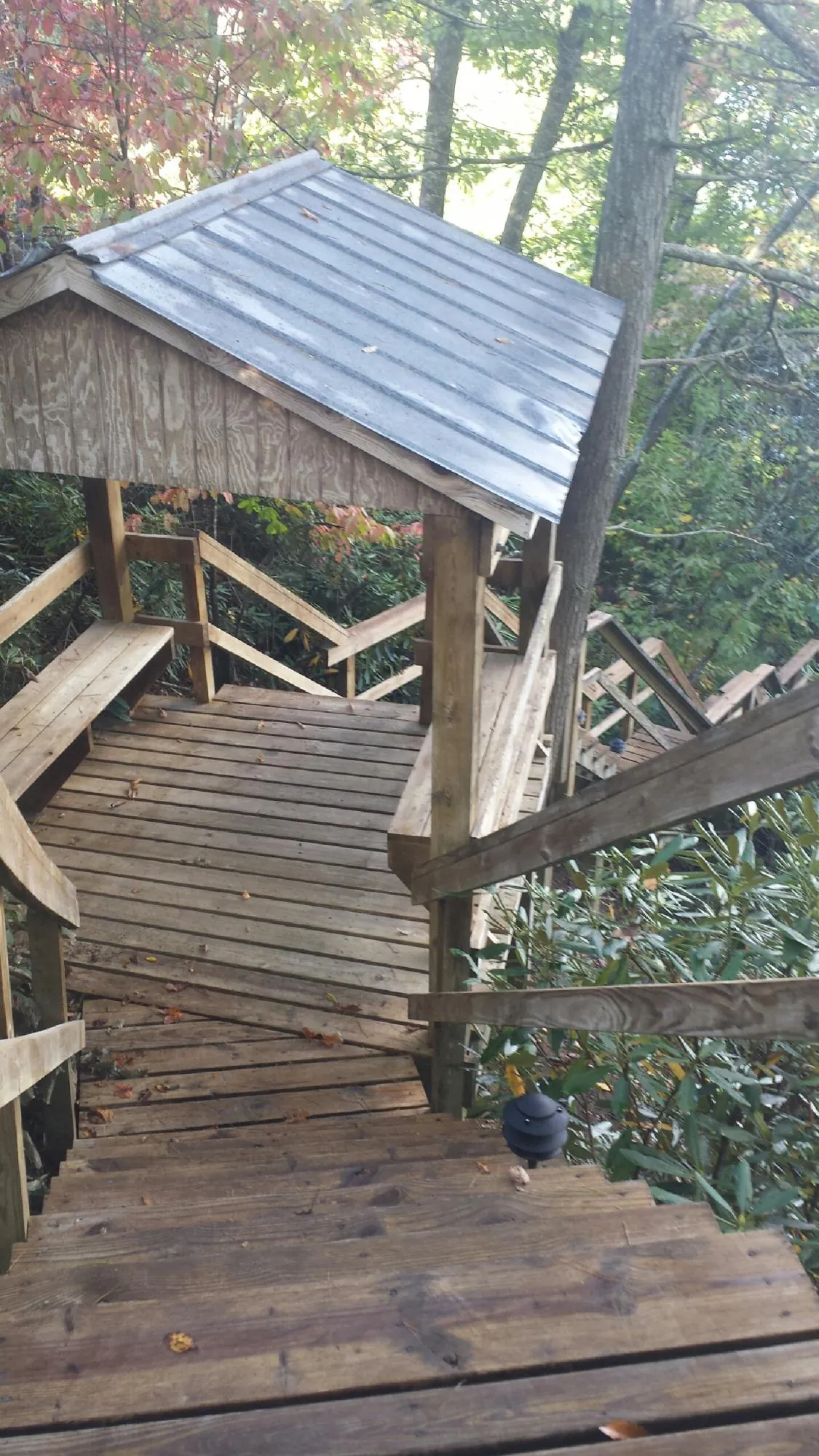 Metal roofed shelter over wooden steps on a wooded walkway in Inkster